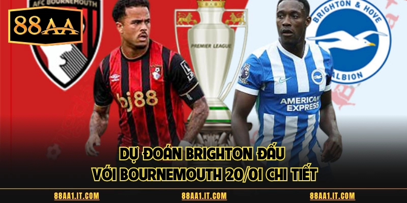 Dự đoán Brighton đấu với Bournemouth